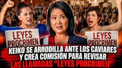 KEIKO SE ARRODILLA ANTE LOS CAVIARES PARA REVISAR LAS ¨LEYES PROCRIMEN¨ - NOTICIAS RANDOM