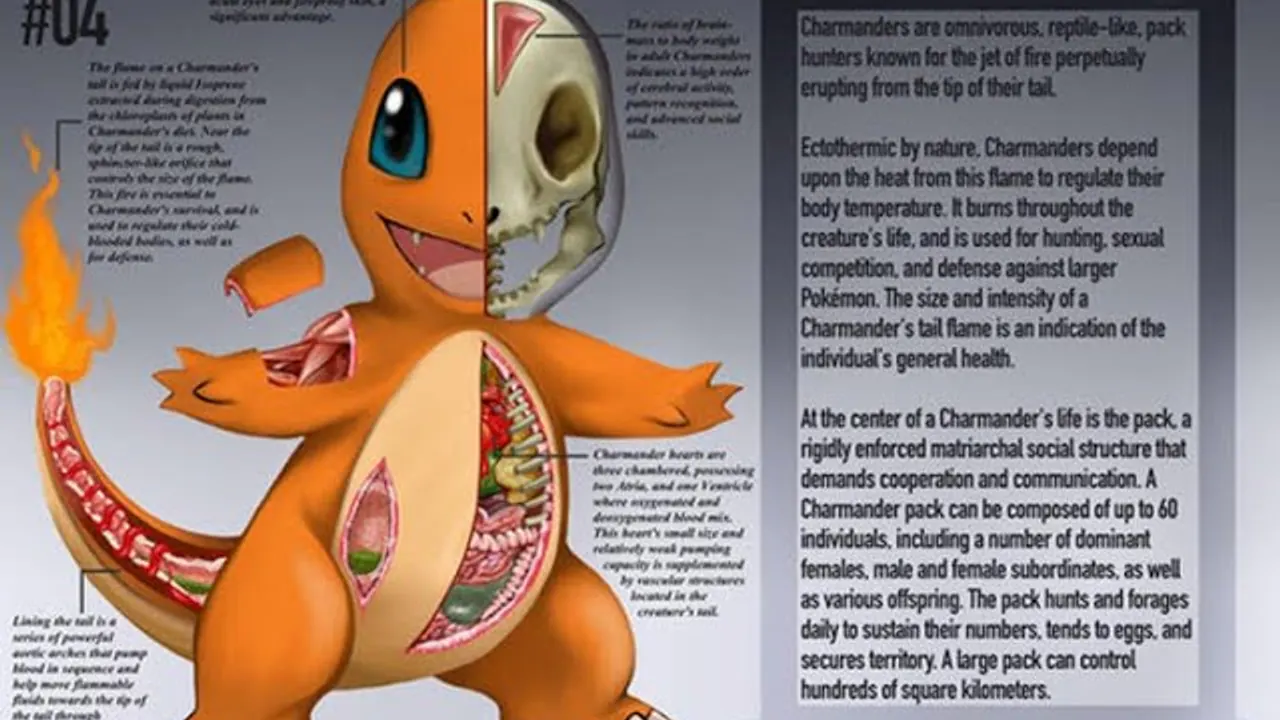 Reproducir: LOS SECRETOS DE POKEMON