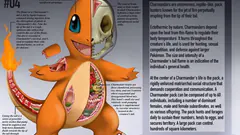 LOS SECRETOS DE POKEMON