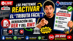 ¿Se pretende reactivar el “Tributa Fácil”?