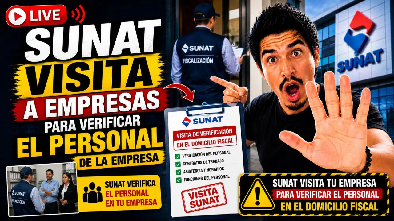 Reproducir: SUNAT visita a empresas para verificar el personal de la empresa