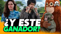 LUNES 23.02 | LEGAÑA