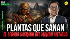 EN VIVO EL PODER LAS PLANTAS: EL LEGADO SAGRADO DEL MUNDO ANTIGUO #VIAJEAOTRADIMENSIÓN