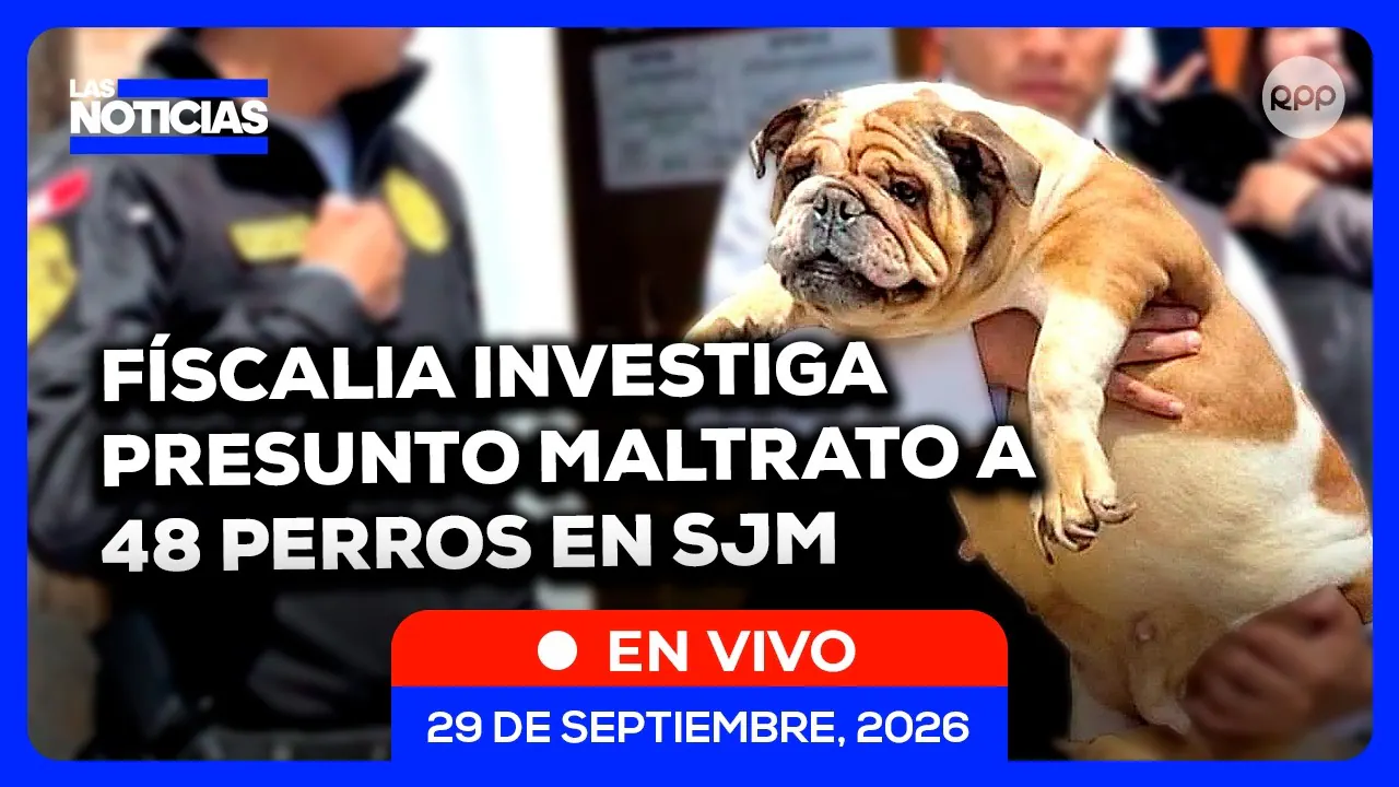 Reproducir: SJM: FISCALÍA INVESTIGA PRESUNTO MALTRATO ANIMAL TRAS HALLAR 48 PERROS EN CRIADERO CLANDESTINO 🔴