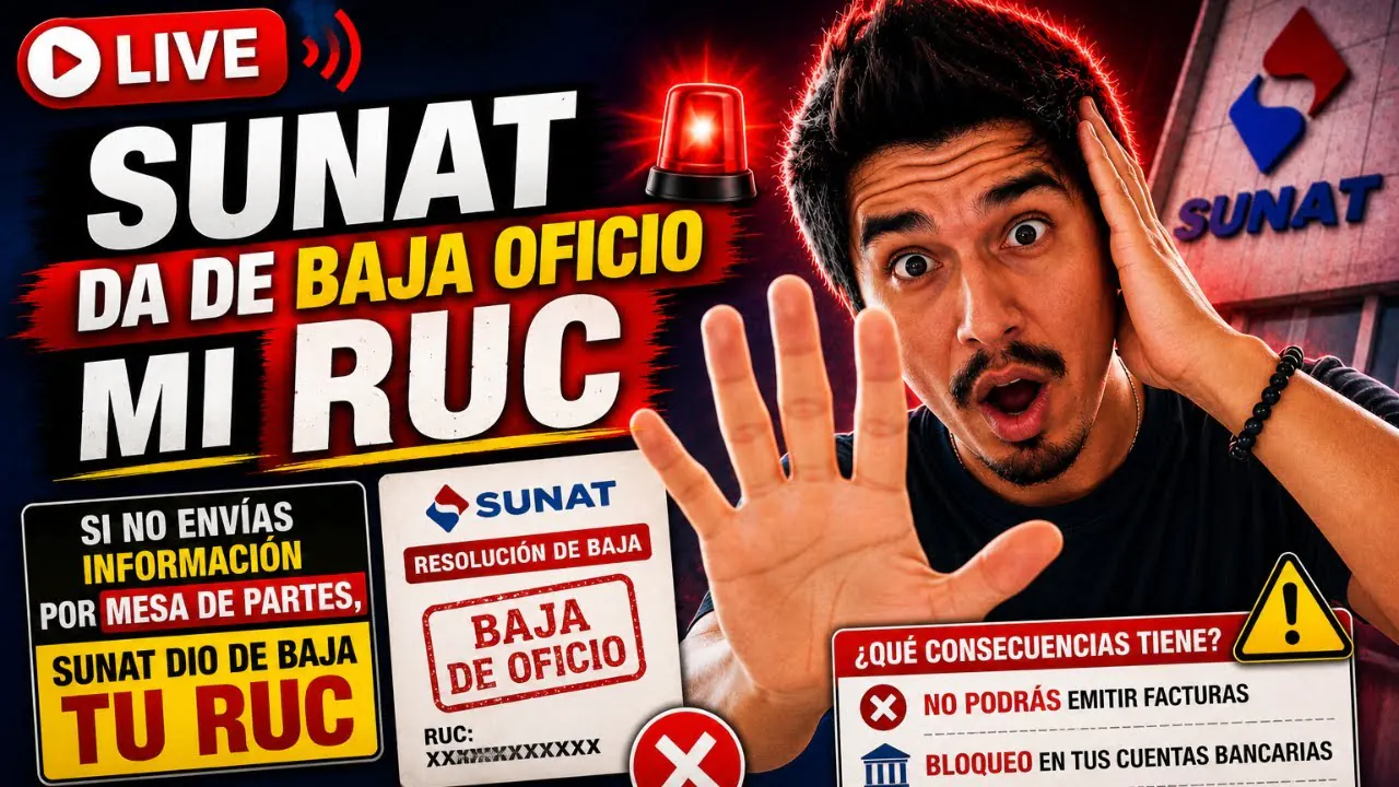 Reproducir: SUNAT da de baja de oficio mi RUC - No se respondió requerimiento