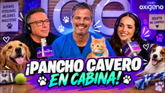 ¡PANCHO CAVERO EN CABINA! #envivo ROCK N SHOCK CON CARLOS GALDOS