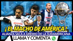 GREMIO (1-1) ALIANZA LIMA : EL MAS GRANDE DEL PERÚ - HDC