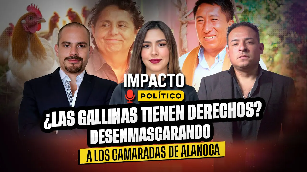 Reproducir: ¿LAS GALLINAS TIENEN DERECHOS? 🥶 | DESENMASCARANDO A LOS CAMARADAS DE ALANOCA