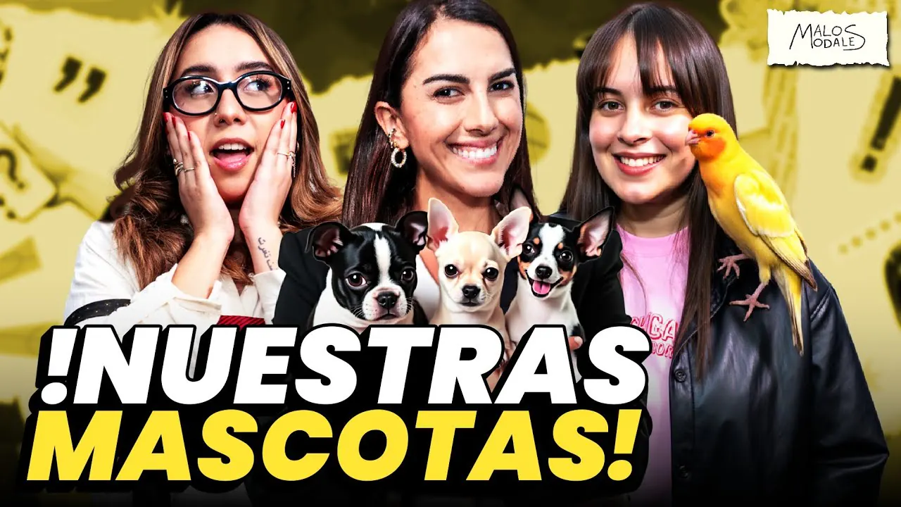 Reproducir: MASCOTAS, MENTIRAS y TUTTI FRUTI | Malos Modales