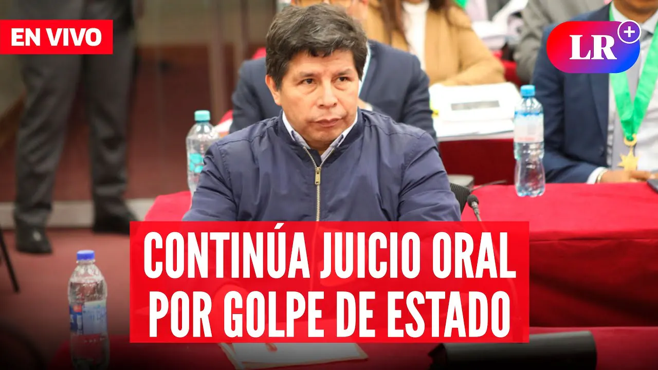 Reproducir: 🔴 PEDRO CASTILLO HOY EN VIVO: JUICIO POR GOLPE DE ESTADO CONTINÚA