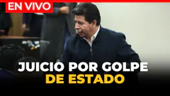 JUICIO ORAL A PEDRO CASTILLO POR REBELIÓN: testigos clave declaran | El Comercio
