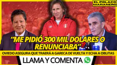 "VUELVE GARECA Y VUEVO YO" OVIEDO ESTA DE VUELTA Y ASEGURA AL TIGRE - Loco HDC