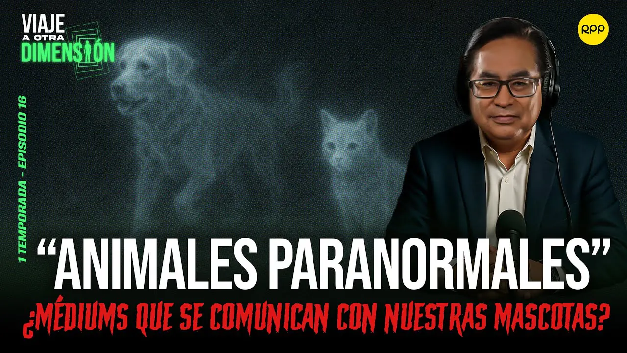 Reproducir: #ENVIVO🔴 ANIMALES PARANORMALES: ¿MÉDIUMS SE COMUNICAN CON NUESTRAS MASCOTAS?#VIAJEAOTRADIMENSIÓN