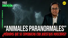 #ENVIVO ANIMALES PARANORMALES: ¿MÉDIUMS SE COMUNICAN CON NUESTRAS MASCOTAS?#VIAJEAOTRADIMENSIÓN