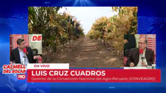 PBO EN VIVO