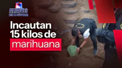 PNP incauta 15 kilos de marihuana en Ventanilla | "Aliados por la seguridad" EN VIVO Radio Nacional