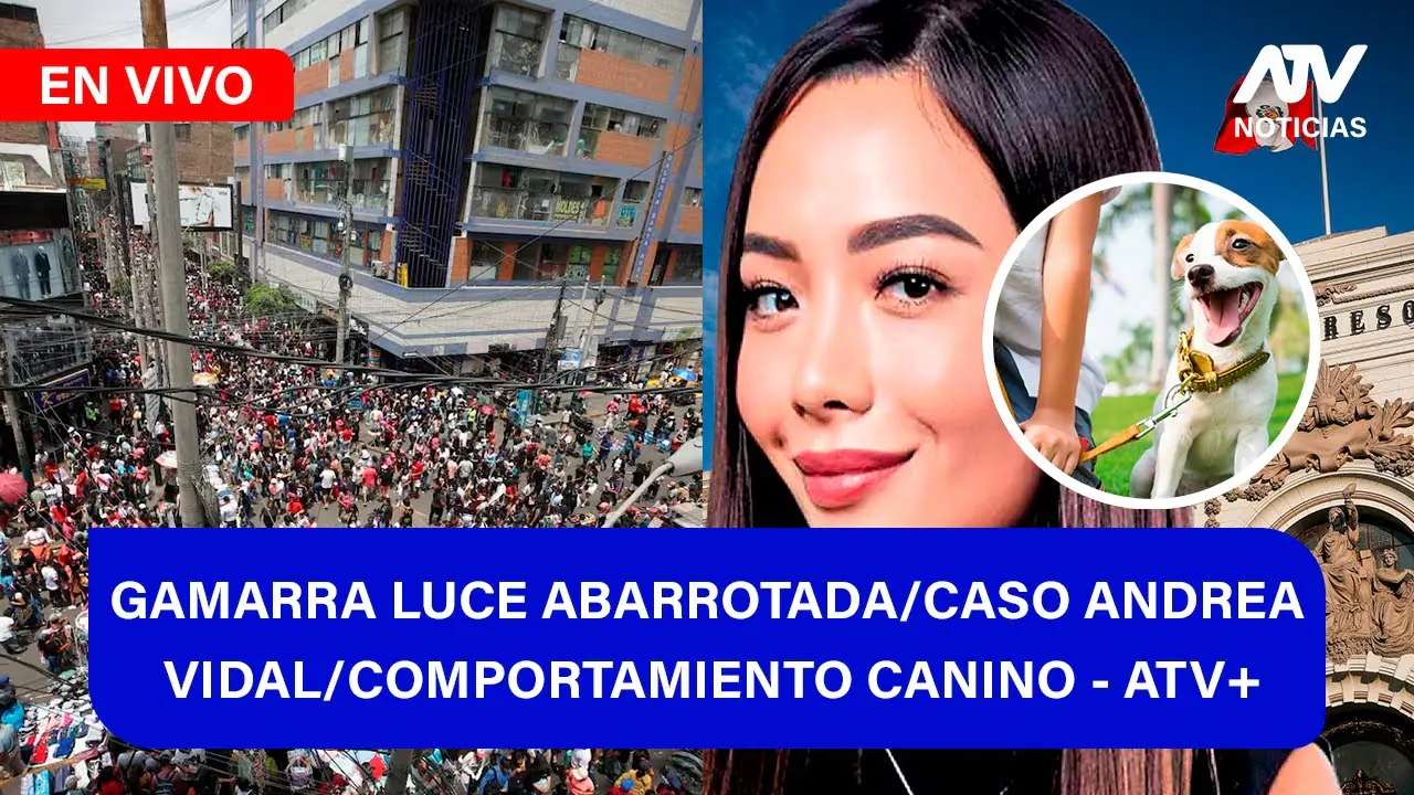 Reproducir: Fe de Erratas 📱🎙️|  GAMARRA LUCE ABARROTADA/CASO ANDRES VIDAL/COMPORTAMIENTO CANINO - ATV+